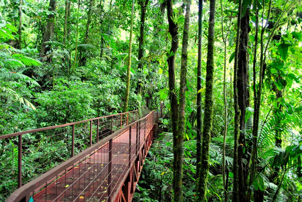 Why you will absolutely love Costa Rica’s rainy season