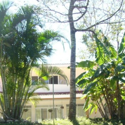 Eden de Pacifico Feature