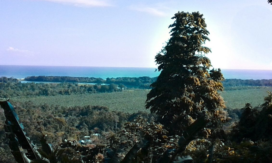 Finca Guavo