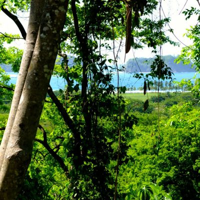 samara costa rica land for sale playa samara 1
