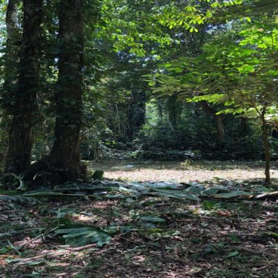 costa rica lot for sale lote paraiso 3