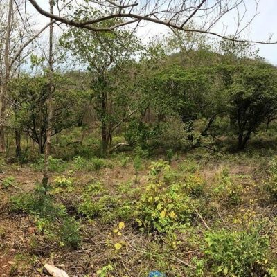 guanacaste costa rica lot for sale - finca la libertad 5