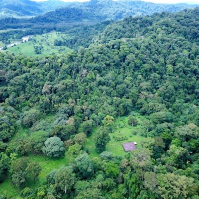 costa rica farm for sale puerto jimenez 13