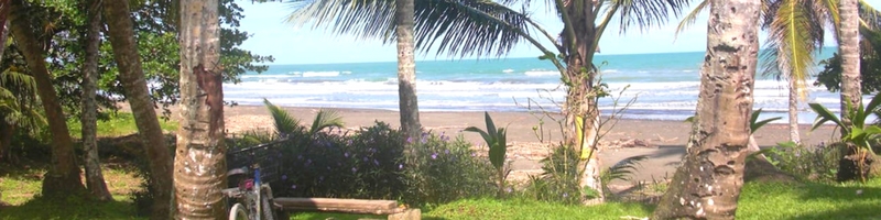 beachfront land for sale in cahuita costa rica