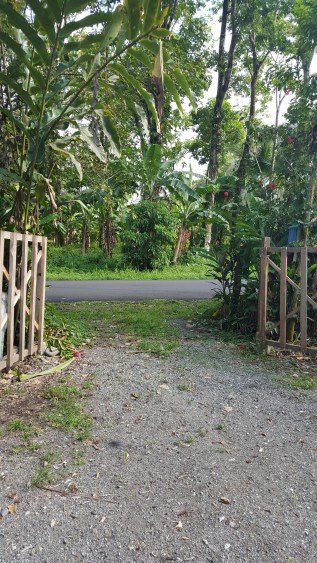 lot for sale in cahuita costa rica