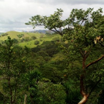 Lake Arenal Cattle Farm Costa Rica Real Estate