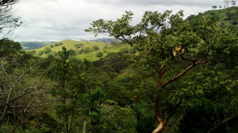 Lake Arenal Cattle Farm Costa Rica Real Estate
