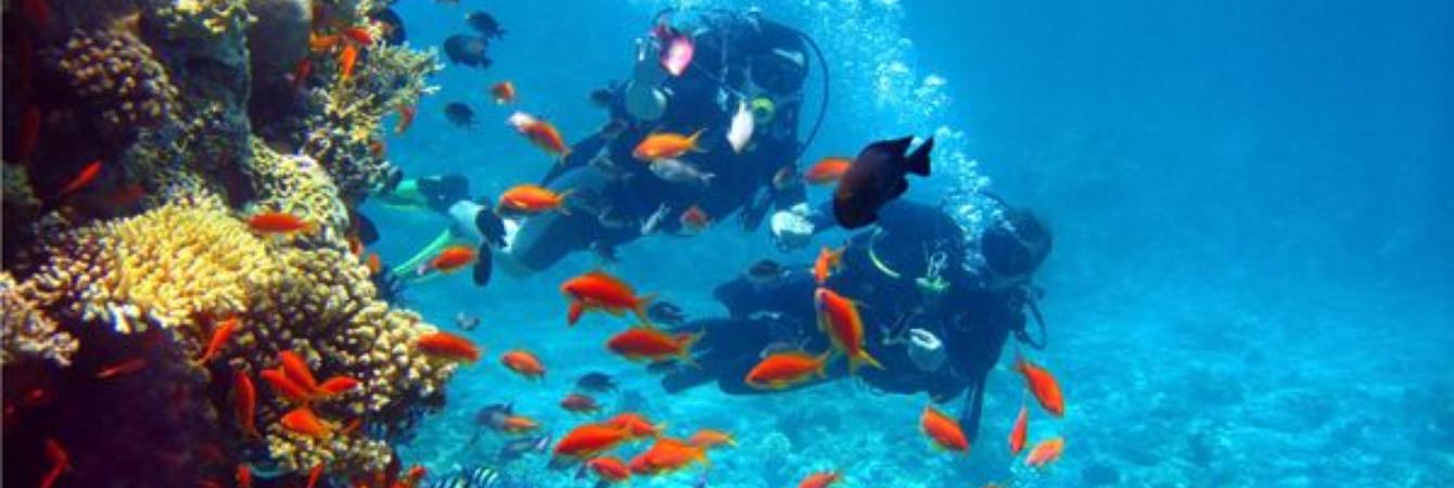 costa rica snorkeling bucket list