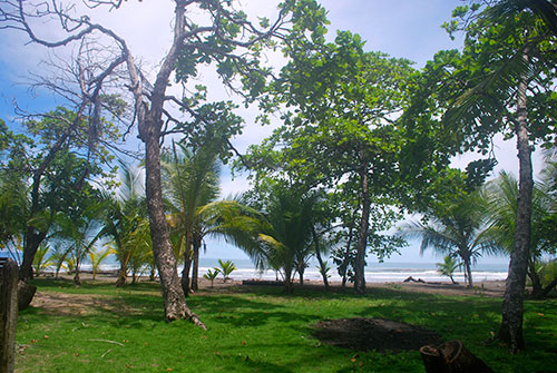 playa matapalo costa rica real estate 01