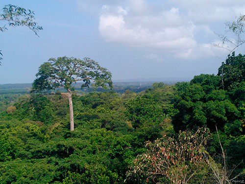 playa matapalo costa rica real estate 04