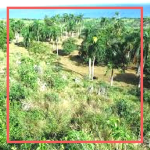 playa grande costa rica land for sale