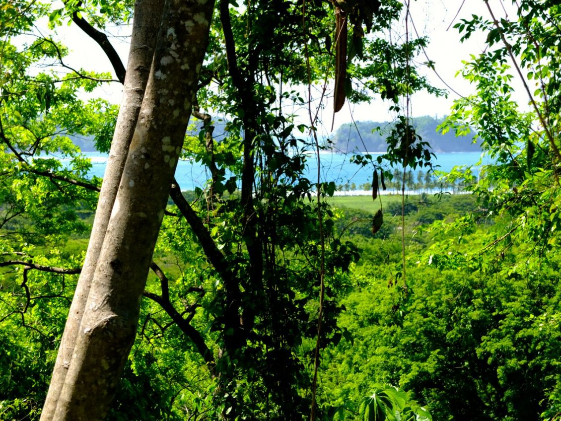 samara costa rica land for sale playa samara 1
